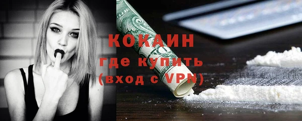 прущие грибы Красноперекопск