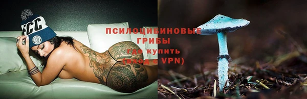 стаф Краснослободск